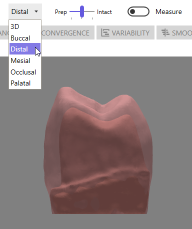 Distal Preset View Angle