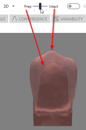 Prep overlaid with Intact Tooth